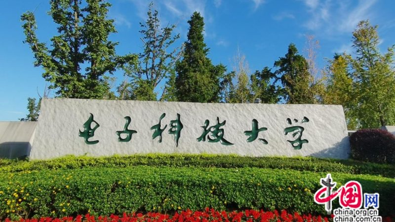电子模块代工：揭秘优质代工企业的核心要素**